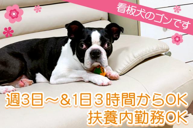 ネイル・ピアスOK！服装自由！
ついでに「ゴンちゃん」と遊ぶのも自由な職場です♪