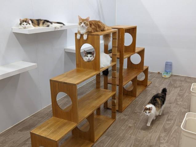 ペットショップでのお仕事が初めての方も大歓迎！