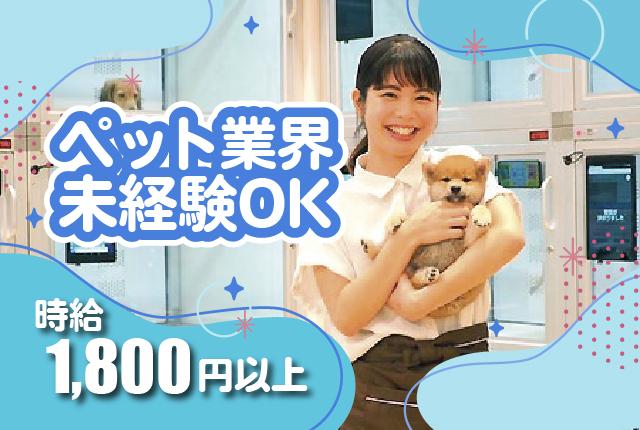 「動物が好き」を仕事に。時給1,800円以上×即戦力採用！接客経験を活かせるペットショップスタッフ♪ワンちゃん・ネコちゃんのペット接客・販売スタッフ