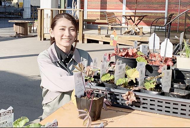 株式会社ジョイフル本田 ニューポートひたちなか店のパート 契約社員情報 イーアイデム ひたちなか 市の量販店 大型sc求人情報 Id A