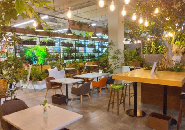 緑菜七彩　（アグロガーデン神戸駒ヶ林店内）