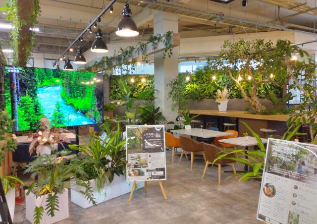 緑菜七彩　（アグロガーデン神戸駒ヶ林店内）