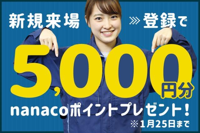 新規来場・登録でnanacoカード5000円分プレゼント!
※1人1回限り※規定有