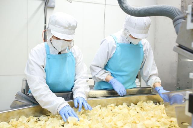 〜作業の流れ〜
（写真はポテトチップの選別風景。）
