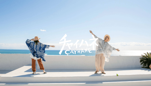 チャイハネ　豊川店