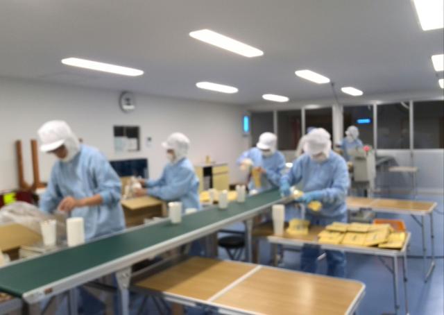 場内軽作業は研修期間もあり、安心してスタートできるお仕事です!