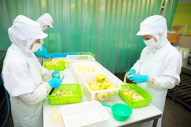 ★年始ド短期バイト！（3日間）★カンタン野菜・フルーツのカットなど！高校生OK！年齢不問！野菜・フルーツのカット作業（年始3日間短期）