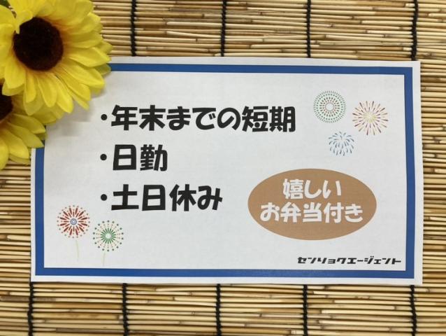 戦力エージェント株式会社