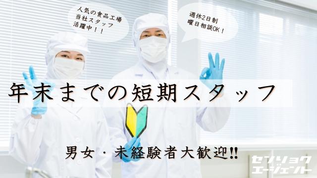 すぐにお仕事をしたい方もスピーディーに職場見学→就労までご案内します
