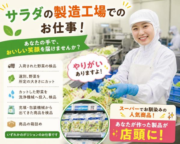 夜勤スタッフ急募！深夜時給1,750円！男女・未経験者歓迎！サラダの製造補助・検品・梱包作業