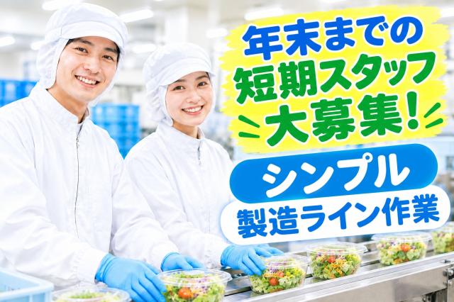 12月末日までの短期スタッフ10名大募集！
シンプルな製造ライン作業
職場見学もできますよ♪