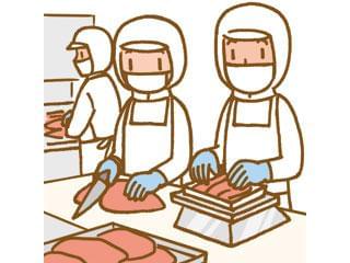 未経験の方大歓迎!未経験から職人へ!!