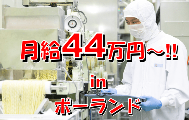 ポーランドに転勤の場合、転勤先での基本給に加えて、日本での月給も支払われるため、総支給はなんと、月給44万円以上！業務に見合った報酬をお約束します！