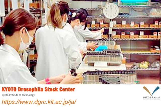 4／1スタート◇研究補助スタッフ◇未経験者歓迎！◇土日祝休み◇車通勤OK◇円滑な研究を支えませんか？大学の研究補助スタッフ