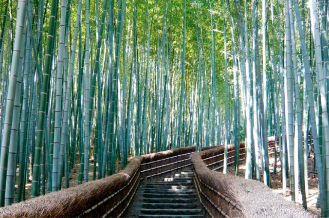 あだし野念佛寺