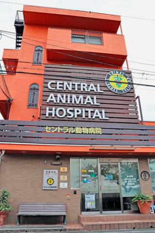 「動物が好きだけど、医療の仕事は経験がなくて不安…」
そんな気持ちがあっても、大丈夫です。