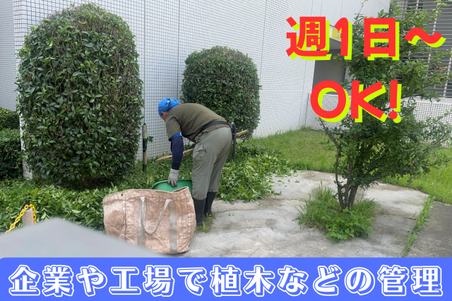 植幸(うえこう）