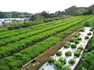 〜出勤日数応相談〜
未経験者大歓迎!毎年、高校生〜パートさんまで、幅広い年代の方が活躍しています。