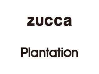 Plantation／Zucca