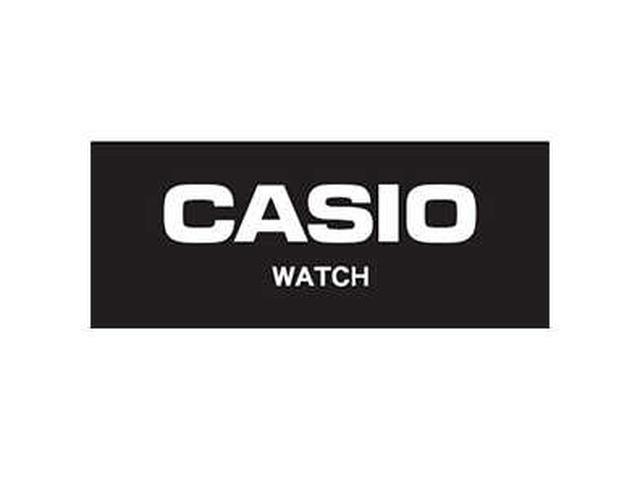 Casio Watch