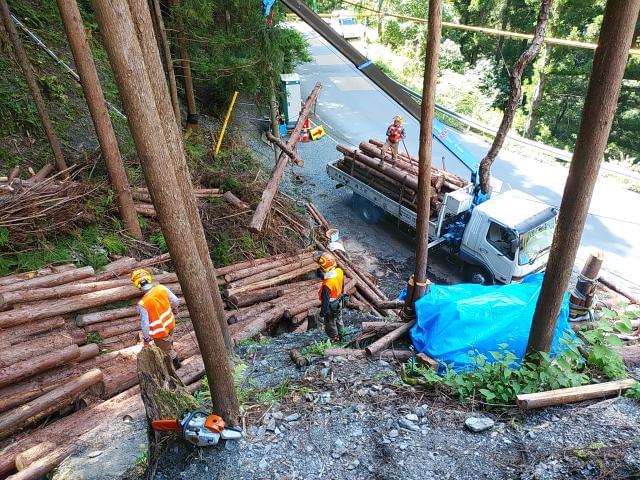佐久間森林組合の正社員情報 イーアイデム 浜松市天竜区のその他建築 設備 アクティブワーク求人情報 Id A11019494651