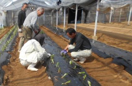 自然にふれ身体を動かすことが好きな方に最適！