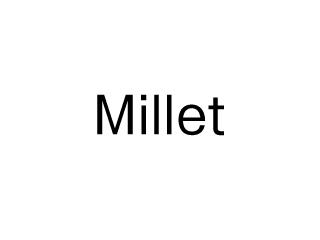 Millet