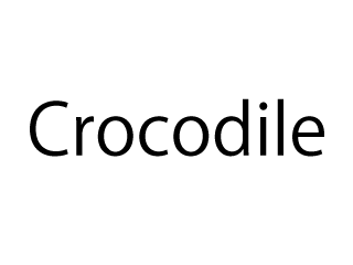 Crocodile