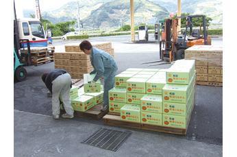 トラック輸送や倉庫管理で地域の産業や名産品を
サポートしている会社。有田みかんなども扱っています。