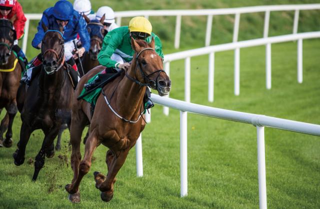 【競馬場の交通誘導警備員】未経験OK◎基本土日のみ！研修充実◇男女活躍中◇自転車・バイク通勤可！警備員（京都競馬場での交通誘導）