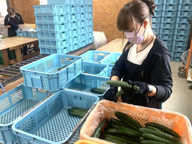 正社員として安定したライフワークを!