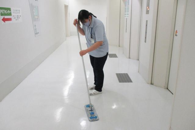 ワタキューセイモア株式会社