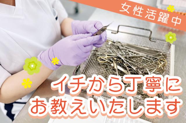 ワタキューセイモア株式会社