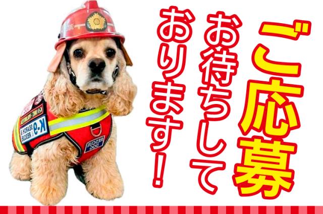 基本は先輩と2名以上で行動!
わからないことも聞きやすい、優しい仲間がそろった職場です。