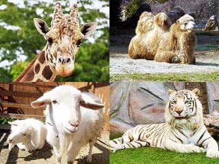 ◇GWの短期4/25〜5/6園内清掃のお仕事　バイト☆未経験大歓迎◎無料送迎バス有姫センのGW短期清掃スタッフ