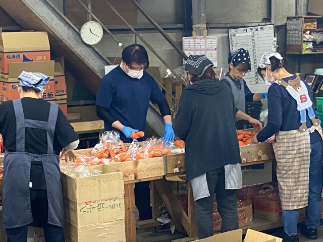 【袋詰め作業】明石市公設地方卸売市場内でのお仕事！未経験OK！WワークOK！コツコツ取組める簡単作業野菜の袋詰め作業