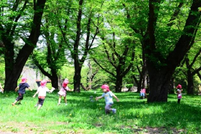 【保育専門】
保育園や幼稚園、認定こども園など、
こどもたちと関われるお仕事をご紹介しています。
保育のお仕事をお探しなら
『ベルサンテスタッフ』お任せください♪