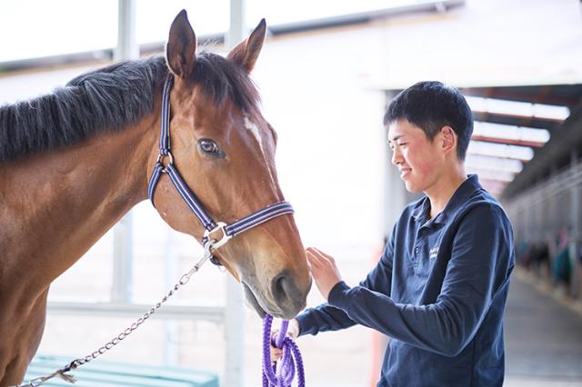 乗馬未経験でも問題ナシ!前職は教職、ディーラー、IT企業など異業種から始めた人がほとんどです◎
