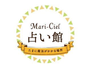 マリーシェル占い館のアルバイト 契約社員情報 イーアイデム 千代田区の量販店 大型sc求人情報 Id A