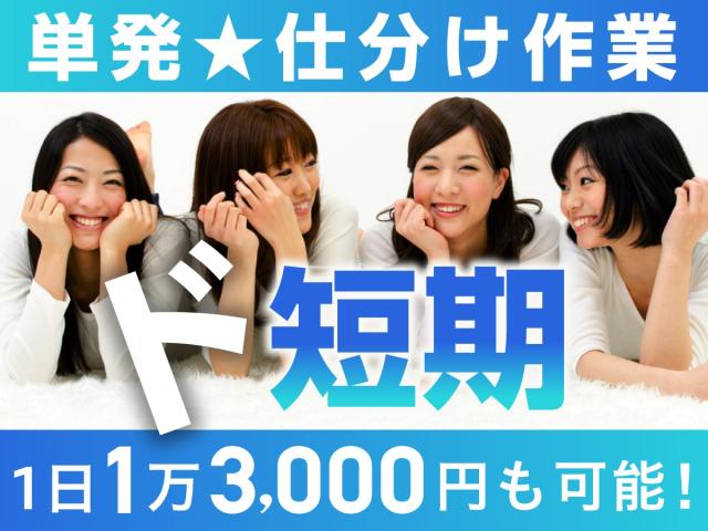 ライクスタッフィング株式会社　九州支社