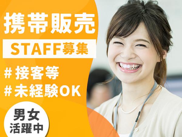 株式会社フェローズ/FS-D1_S_869_1268T