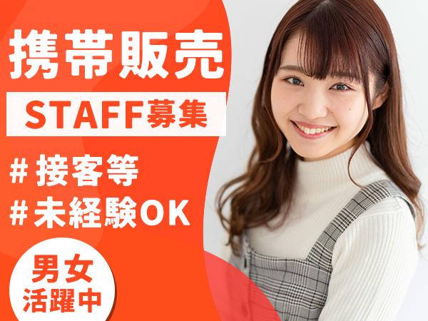 株式会社フェローズ/FS-D4_DK_685_900T