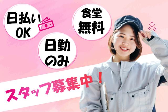 20代から50代まで幅広い年代のスタッフが活躍中!
あなたもここで、希望に合ったお仕事を見つけませんか◎
