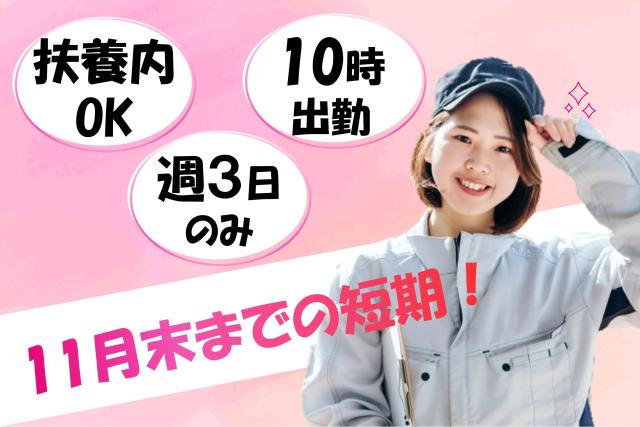 20代から50代まで幅広い年代のスタッフが活躍中!
あなたもここで、希望に合ったお仕事を見つけませんか◎