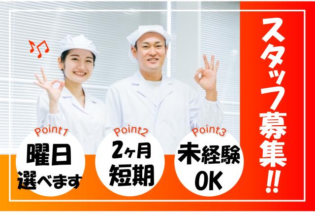 夕方から短時間or夜勤フルタイム選べます/曜日相談OK/週1日〜OK/二ヶ月短期/日払い週払いOKコンビニ向け麺製品の製造