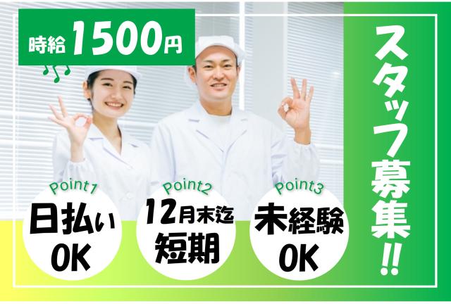 20代から50代まで幅広い年代のスタッフが活躍中!
あなたもここで、希望に合ったお仕事を見つけませんか◎