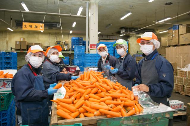 夏の短期×高時給1400円｜期間8/1〜8/15｜1ヵ月以内OKでサクッと稼ぐ｜高校生・大学生も歓迎お盆商材（青果物）の袋詰め・パック・カット・包装等