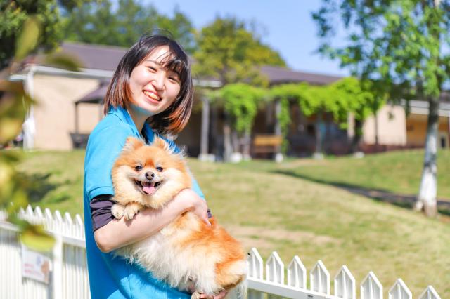 世界の名犬牧場