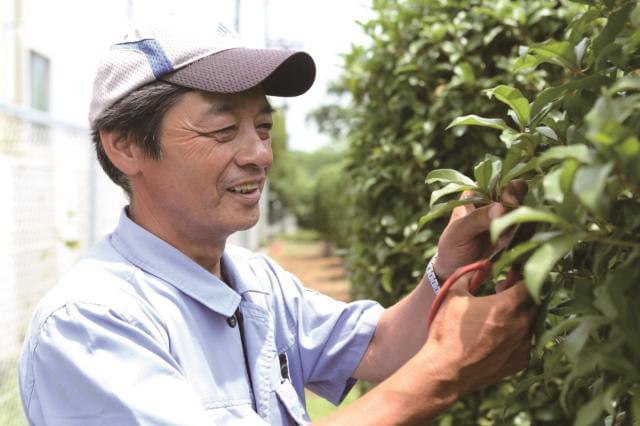 日本の伝統・文化を後世に伝える“やりがい”あるお仕事。
スキルを活かしてご活躍くださいね。