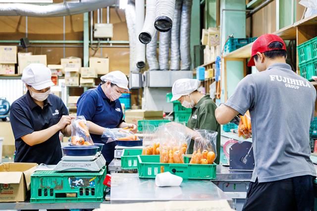 元気なスタッフが当社の宝です◎
旬の野菜や果物がもらえることもあり!
ラッキー&ハッピーな職場です♪